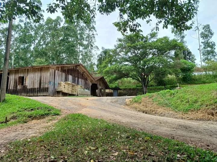 IMG-20251103-WA0002.jpg IMG-20251103-WA0002.jpg