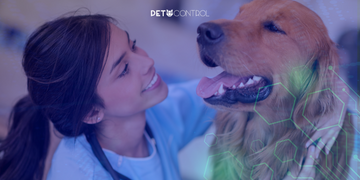 Dicas para a Gestão Eficiente de Clínicas Veterinárias