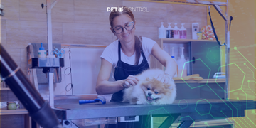 Pacotes e Promoções com Pet Control