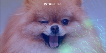 KPIs: Indicadores de Sucesso com Pet Control