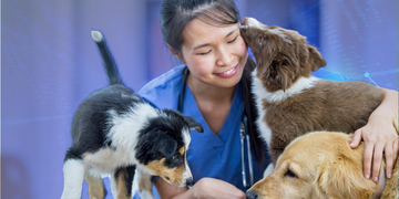 Como gerar receita recorrente em clínica veterinária ou pet shop