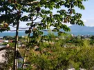 morrinhos (4).jpeg