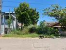I737 (6).jpeg I737 (6).jpeg