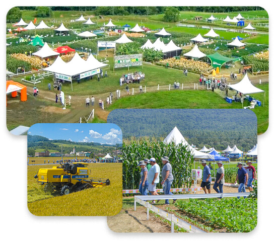 MONTAGEM Imagens.jpg MONTAGEM Imagens.jpg