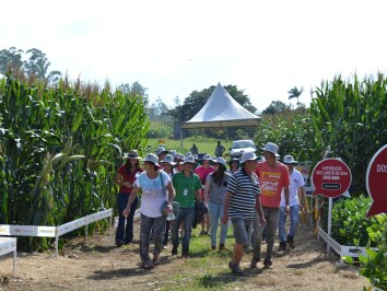 DiadeCampoCravilDia2DSC_0269 .jpg DiadeCampoCravilDia2DSC_0269 .jpg