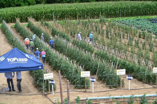 DSC_0121.JPG.jpg DSC_0121.JPG.jpg