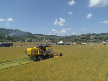 Abertura Colheita Rio do Sul.JPG