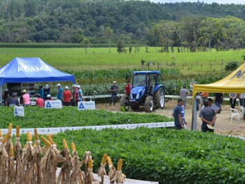 Diversidade.jpg Diversidade.jpg