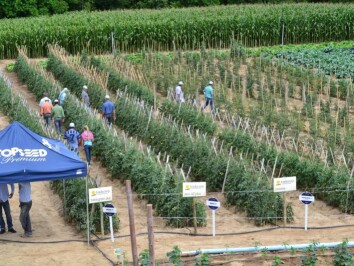 DSC_0121.JPG DSC_0121.JPG