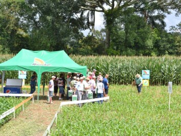 DSC_0200_800x533.jpg DSC_0200_800x533.jpg