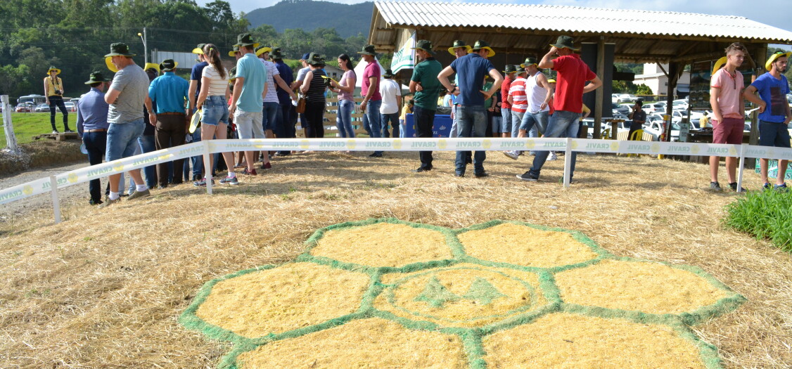 Dia de Campo 2018 Dia de Campo 2018