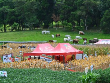 DSC_0113.JPG DSC_0113.JPG