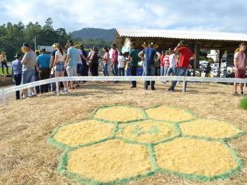 DSC_0489.JPG DSC_0489.JPG