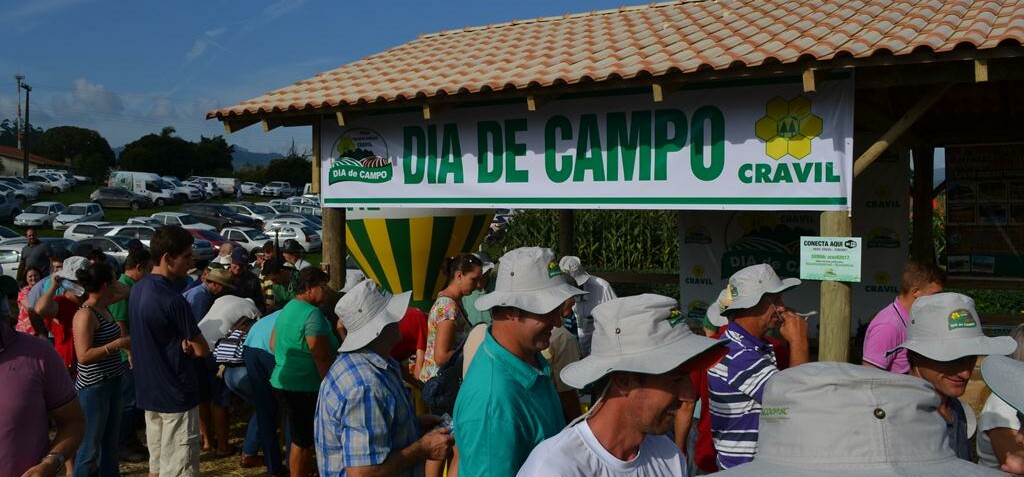 Dia de Campo 2017 Dia de Campo 2017