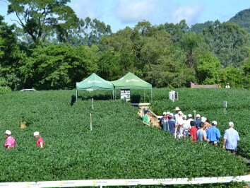 Na área de soja, o produtor pode acompanhar a evolução da leguminosa desde 1920 e projeção de produção até 2020.JPG