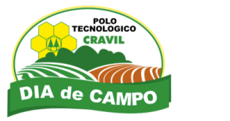 Dia de Campo Cravil