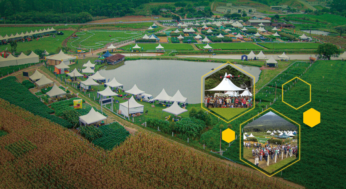 Dia de Campo Cravil  Dia de Campo Cravil