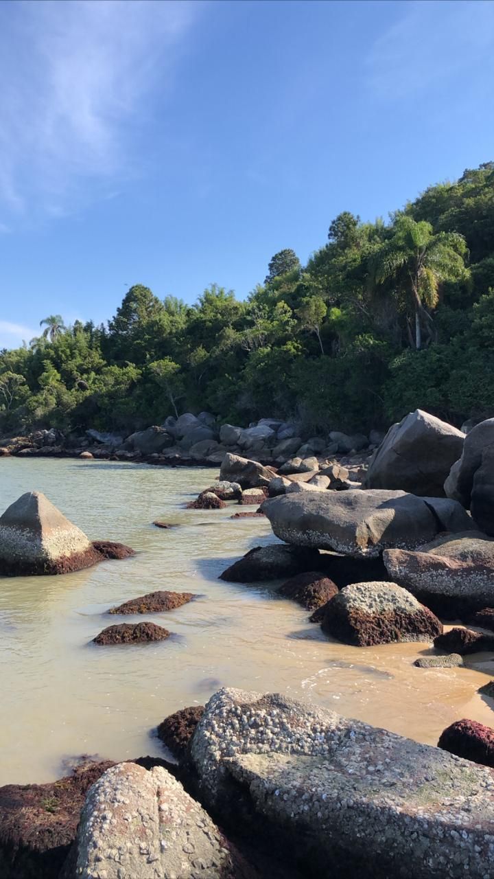 Praia de Zimbros (2)