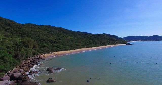 Praia de Zimbros (4)