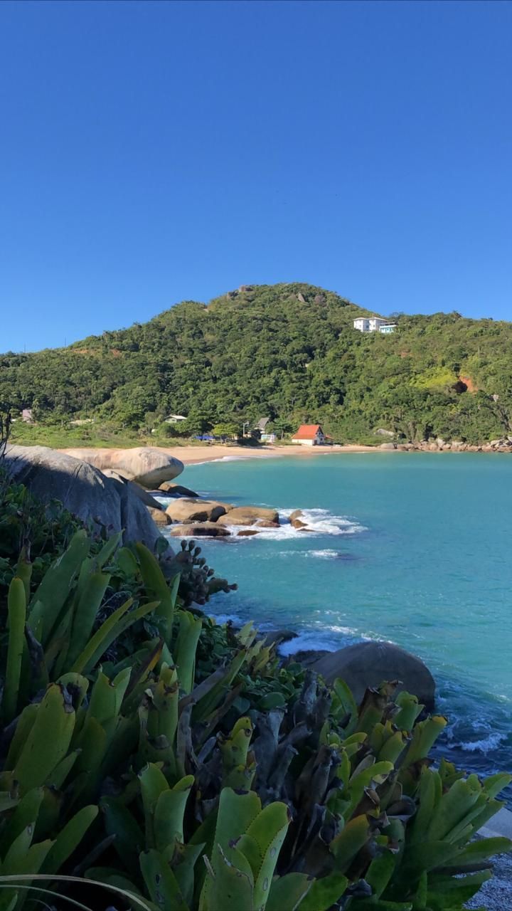 Praia da Tainha (14)