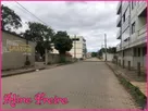 004 rua.jpg