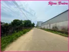 Foto - 004 Rua
