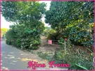 Foto - 001