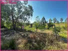 Foto - 001