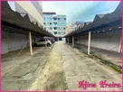 Foto - 002 Garagem