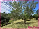 Foto - 003