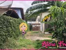 Foto - 004