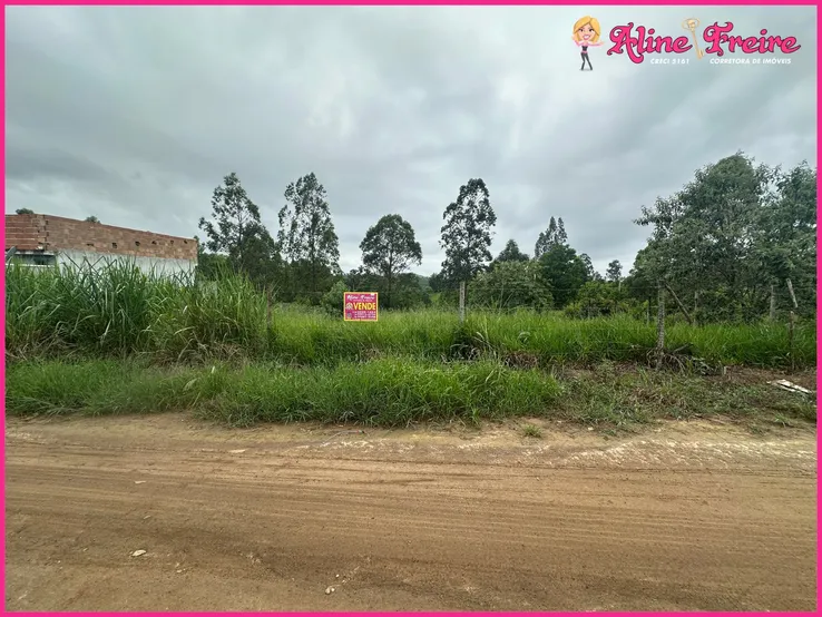 Foto - 001