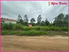Foto - 001