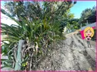 Foto - 002
