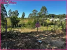 Foto - 003