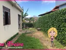 Foto - 005