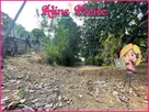 Foto - 004