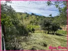 Foto - 004