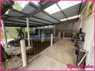 Foto - 003