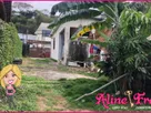 Foto - 002