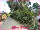 Foto - 003