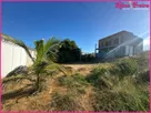 Foto - 003