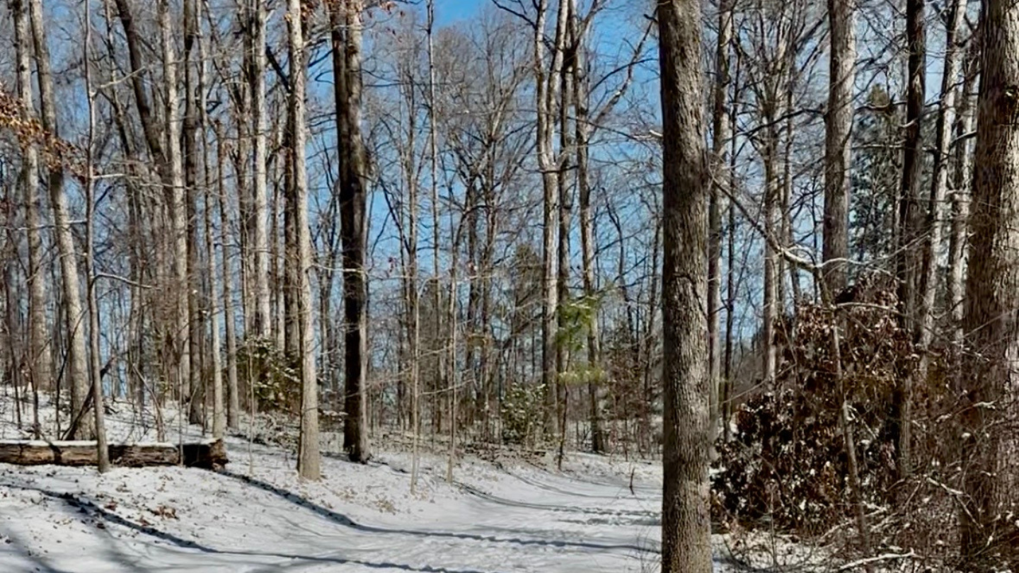 The Five Element Series - Water