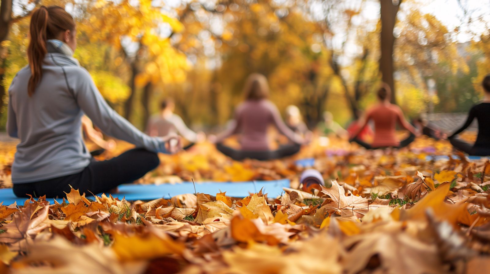 Workshops and Retreats