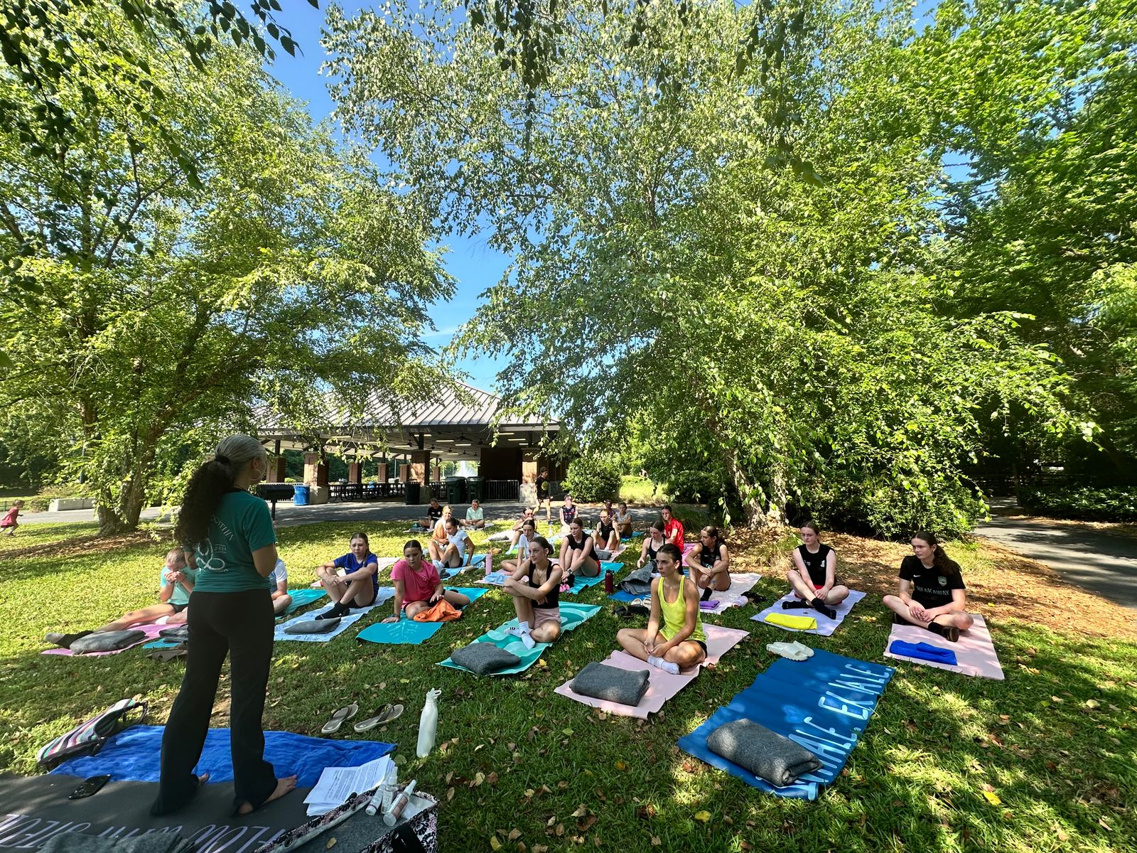 Yoga instructor in a dynamic seated pose with one arm and leg lifted, practicing on a mat in a calm indoor space with plants
