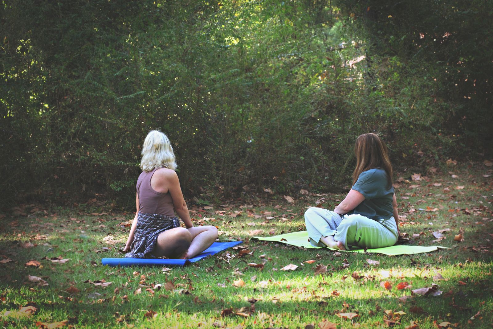 somatic movement, trauma informed yoga, mindful movement