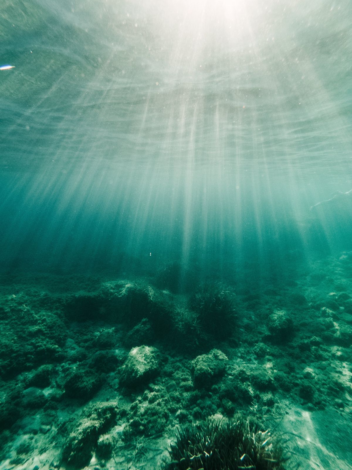 underwater view of sun beams shining down on ocean bed, rocks and moss