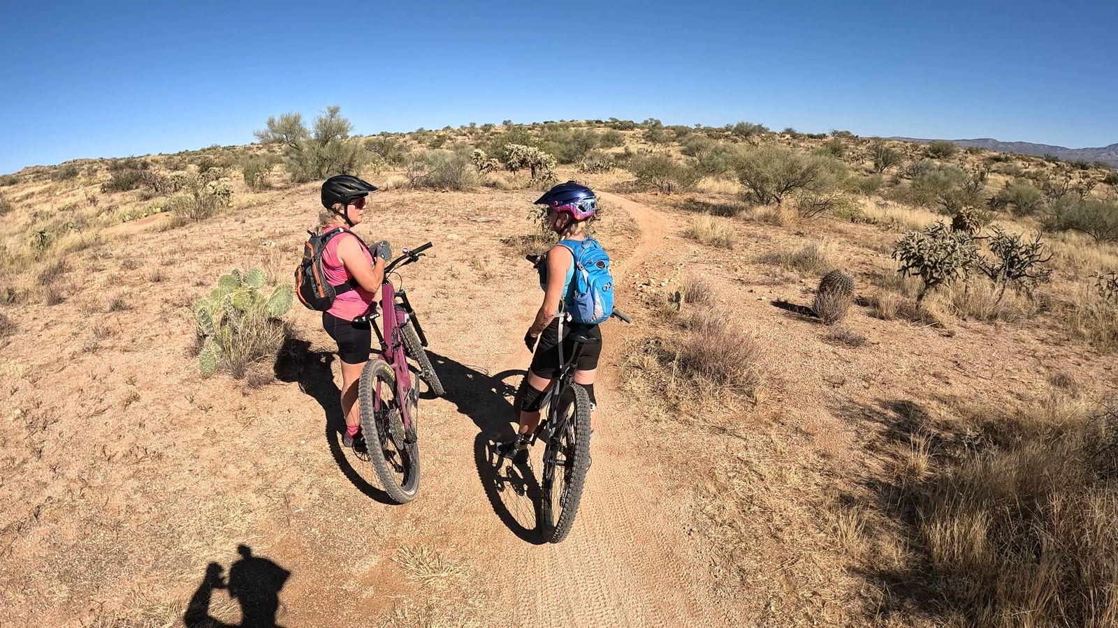 Adventures: MTB Rentals, Guided Biking and Hiking