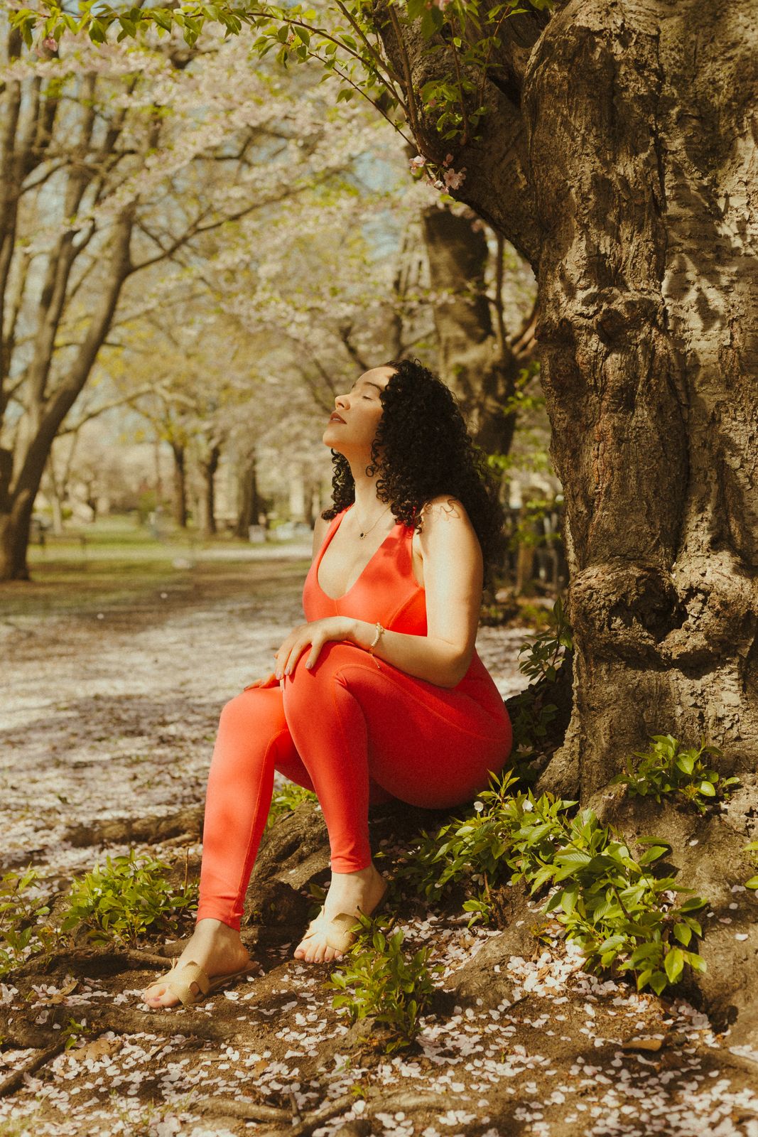 Oubaitori Wellness. Oubaitori Wellness LLC. Cherry Blossom. Life Coach. Yin Yoga. Wellness Retreats. Corporate Events. Self Development. Self Care. Self Love. Transformation. Growth. Manifestation. Holistic. Mind Body Spirit.