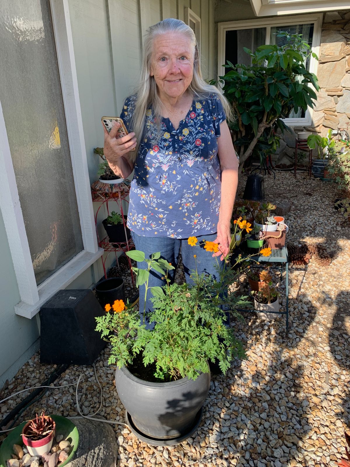My Mom with Cosmos seedlings in her front yard.